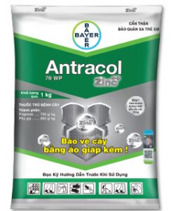 Thuốc trừ bệnh Antracol