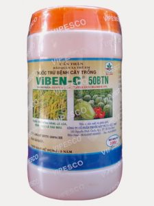 Thuốc Viben-C 50BTN ( 100 g)