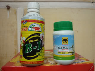 thuốc b1 cho hoa lan
