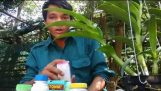 Cách chăm sóc hoa lan . Mẹo nhỏ giúp cây khỏe | Orchivi.com