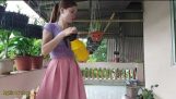 Kỹ thuật chăm sóc phong lan quý  | Nghĩa 86 vlogs | Orchivi.com