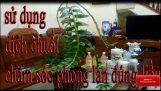 Sử dụng dịch chuối đúng để chăm sóc phong lan | Orchivi.com