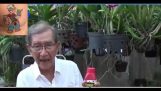 Thầy Tám dạy chăm sóc Lan mùa mưa | Orchivi.com