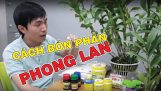Bón Phân Cho Phong Lan Thật Dễ Nếu Nắm Được Nguyên Tắc Này | #MêLanTV | Orchivi.com