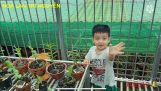 E mời cả nhà cùng chăm sóc lan và thu hoạch kie Pđ trong mùa COVID nhé / hoa Lan trí Nguyễn | Orchivi.com