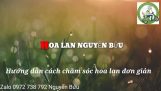 Hoa lan Nguyễn Bửu-Cách chăm sóc hoa lan đơn giản nhất | Orchivi.com