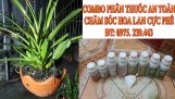 COMBO Phân thuốc an toàn chăm sóc hoa lan cực phê | Orchivi.com