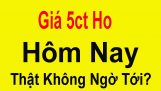 Giá 5ct Ho Giá Lan Var Hôm Nay Thị Trường Lan Đột Biến Hoa Lan. | Orchivi.com