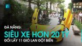 Đổi lan đột biến lấy siêu xe ở Đà Nẵng | VTC1 | Orchivi.com