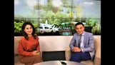 Nhà báo Vương Xuân Nguyên: Vén màn Sự thật Lan Đột Biến trên VTC1, VTC14 | Orchivi.com