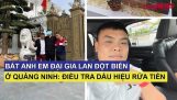 Bắt anh em đại gia lan đột biến ở Quảng Ninh: Điều tra dấu hiệu rửa tiền | Orchivi.com