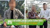 Chủ vườn lan đột biến ở Vĩnh Phúc tố bị lừa 8,4 tỷ đồng | VTC16 | Orchivi.com