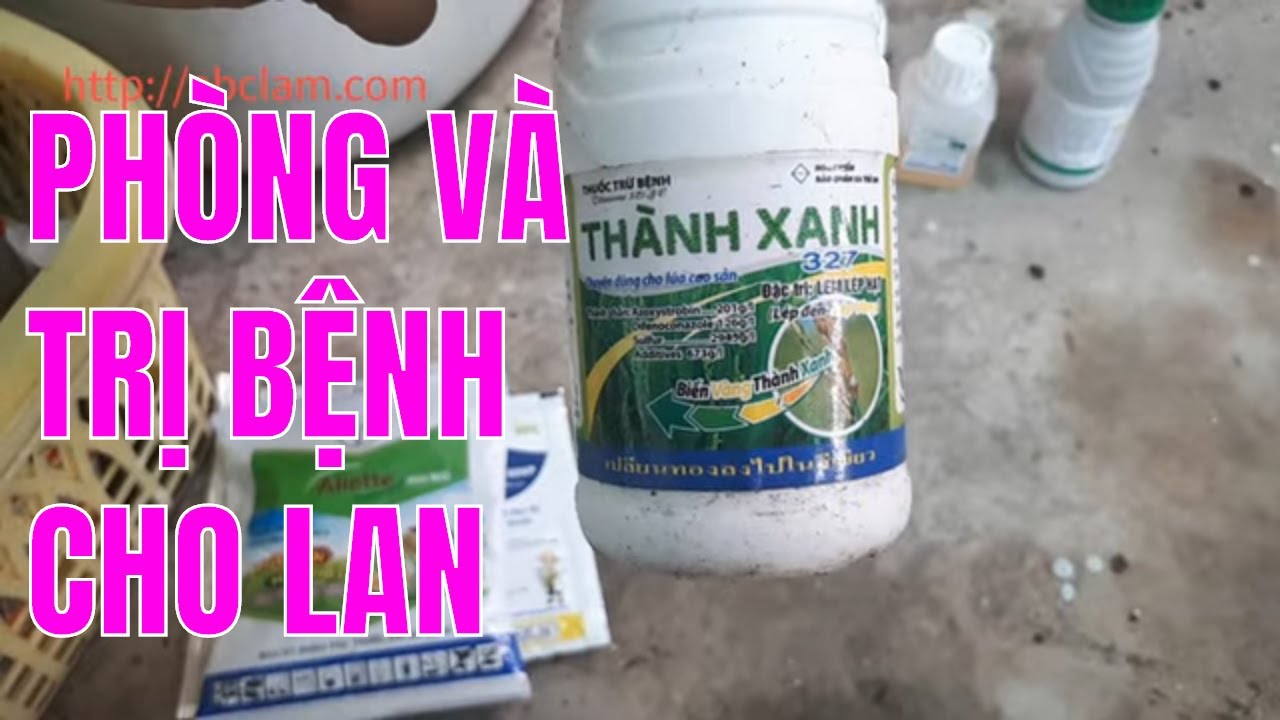 Phong benh va tri benh hoa lan - https://www.youtube.com/watch?v=TTAC5xLdru0