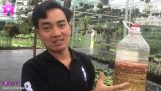 HoalanT2  Anh Nguyễn Ngọc Hà Chia Sẻ Toàn Bộ Về Phòng Và Trị Bệnh Cho Lan | Orchivi.com