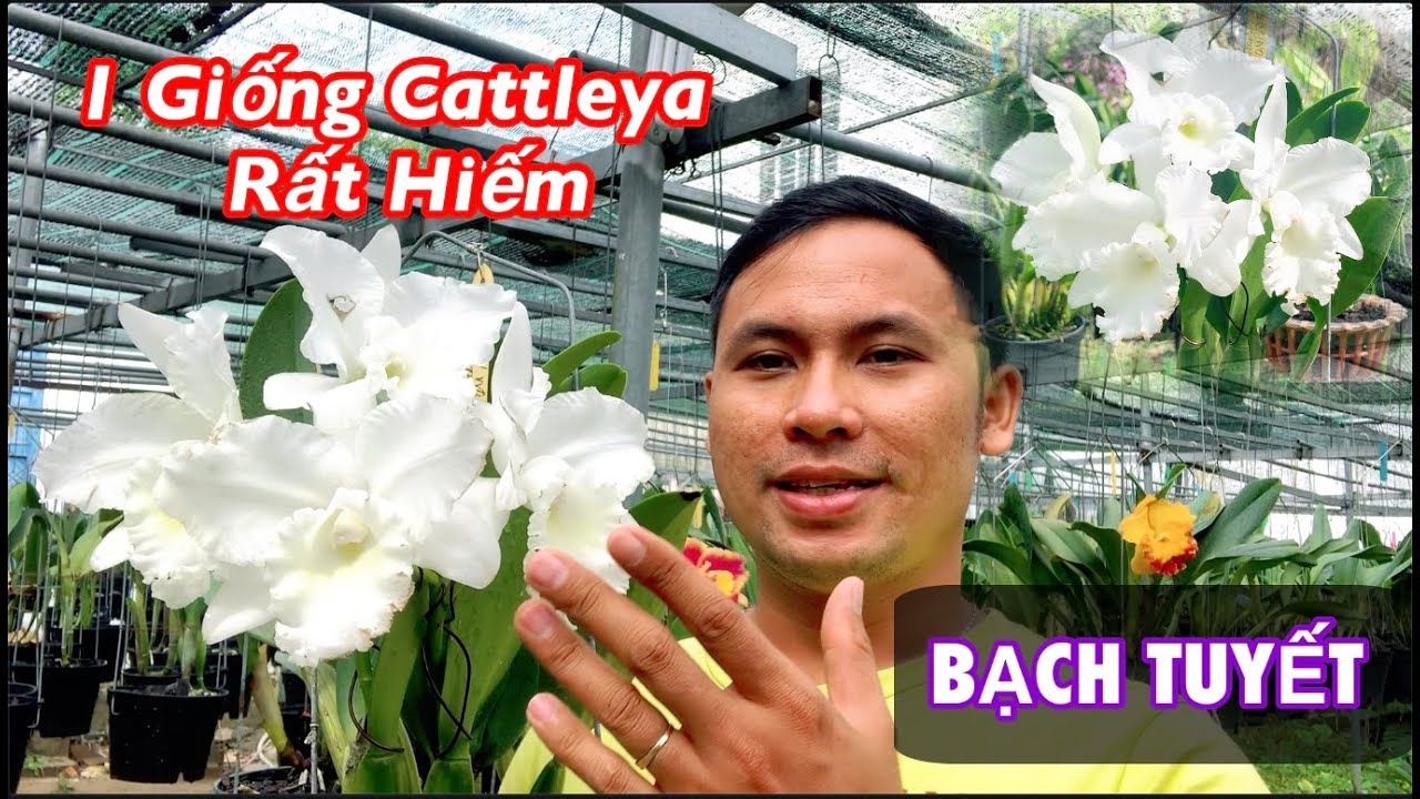 Phong benh va tri benh hoa lan - https://www.youtube.com/watch?v=4CKCAfmfSbQ