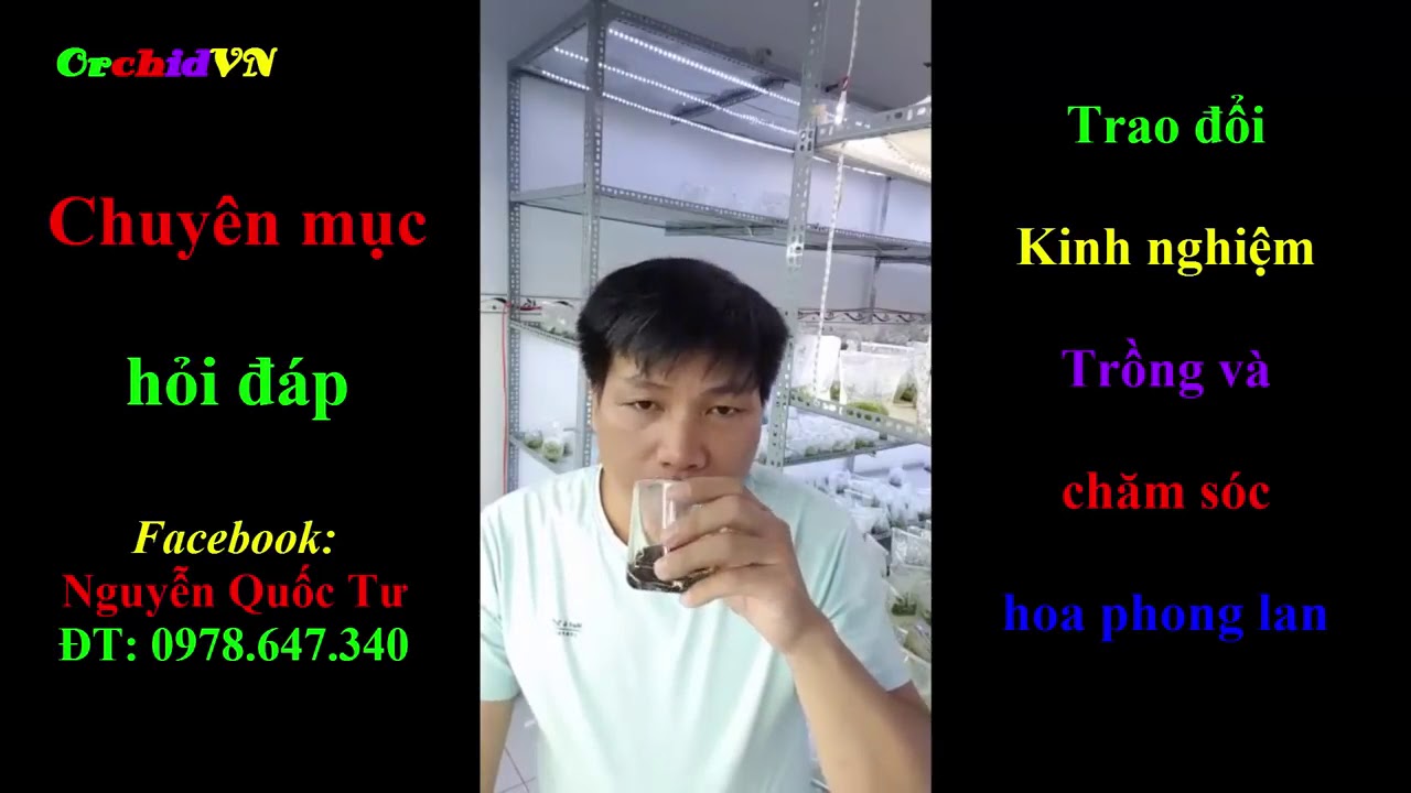 Phong benh va tri benh hoa lan - https://www.youtube.com/watch?v=ZlWAW6UBTls