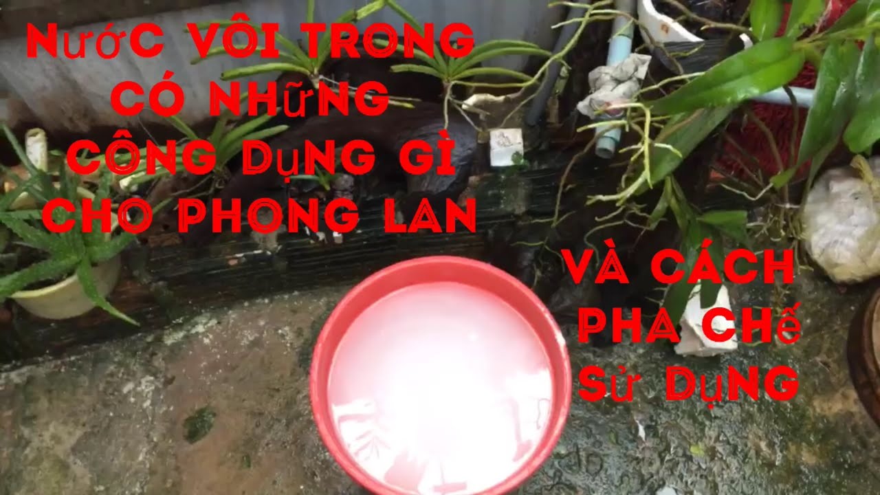 Phong benh va tri benh hoa lan - https://www.youtube.com/watch?v=eOfr7QjqMNI