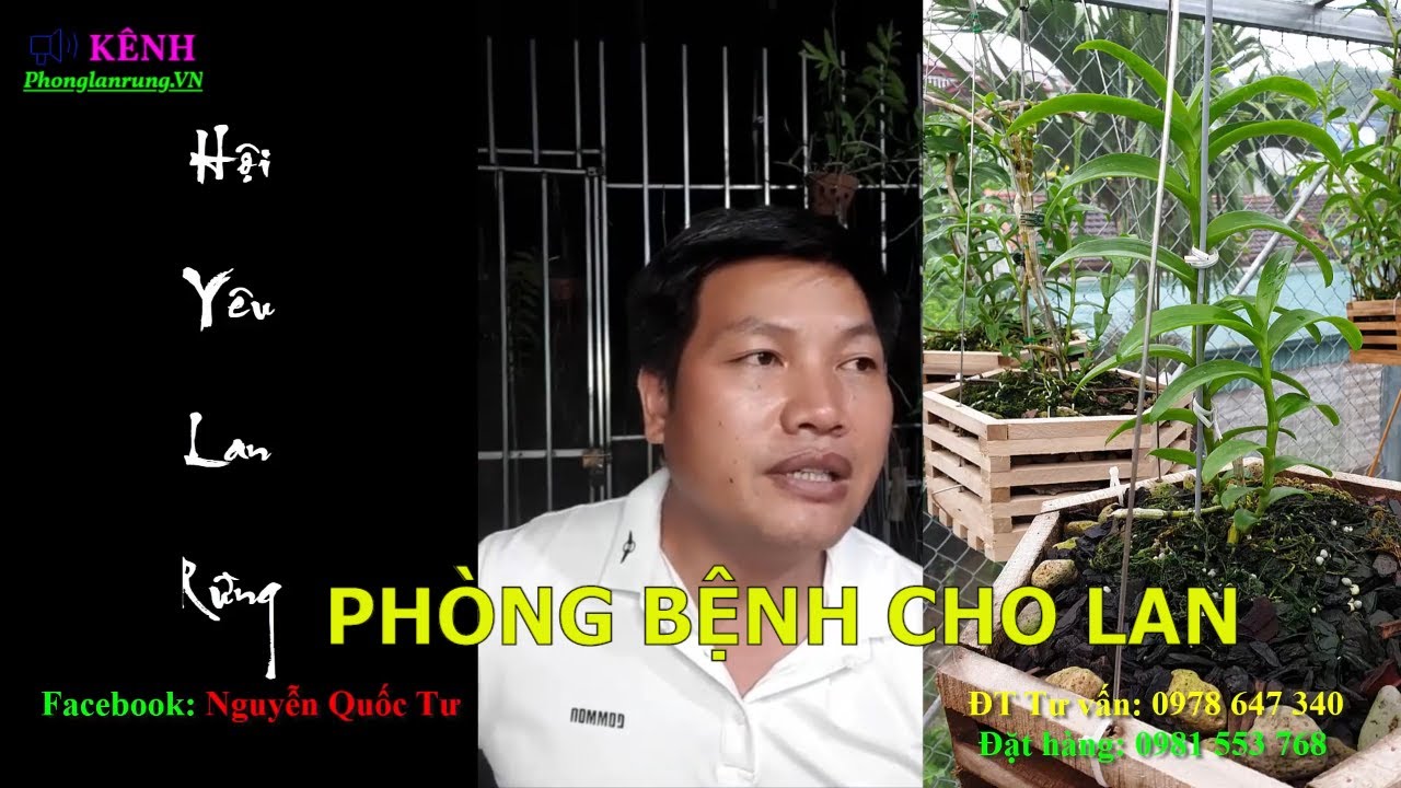Phong benh va tri benh hoa lan - https://www.youtube.com/watch?v=0zpCzsYOp4Q
