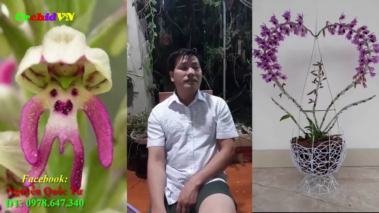 Phong benh va tri benh hoa lan - https://www.youtube.com/watch?v=eiTNoEmZf9k