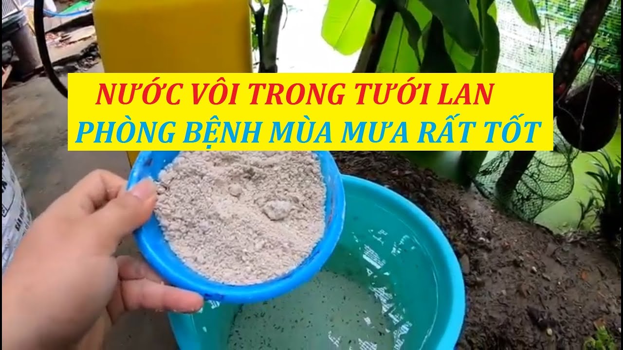 Phong benh va tri benh hoa lan - https://www.youtube.com/watch?v=zs9BHzBZEbA