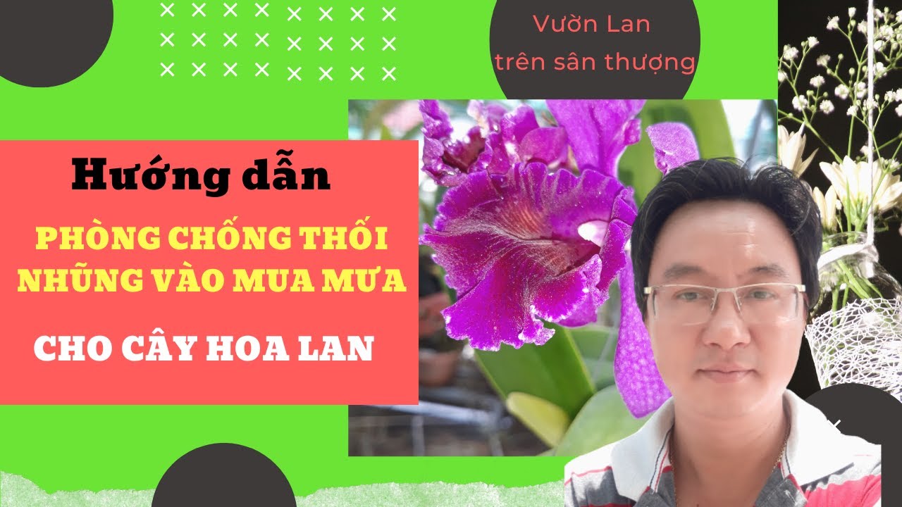 Phong benh va tri benh hoa lan - https://www.youtube.com/watch?v=Xy7Zq49a4-o