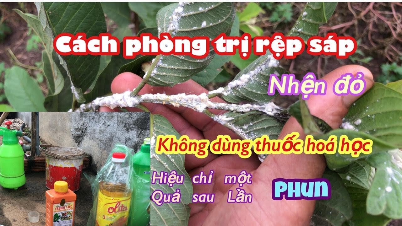Phong benh va tri benh hoa lan - https://www.youtube.com/watch?v=1CJ9Cp53Mnw