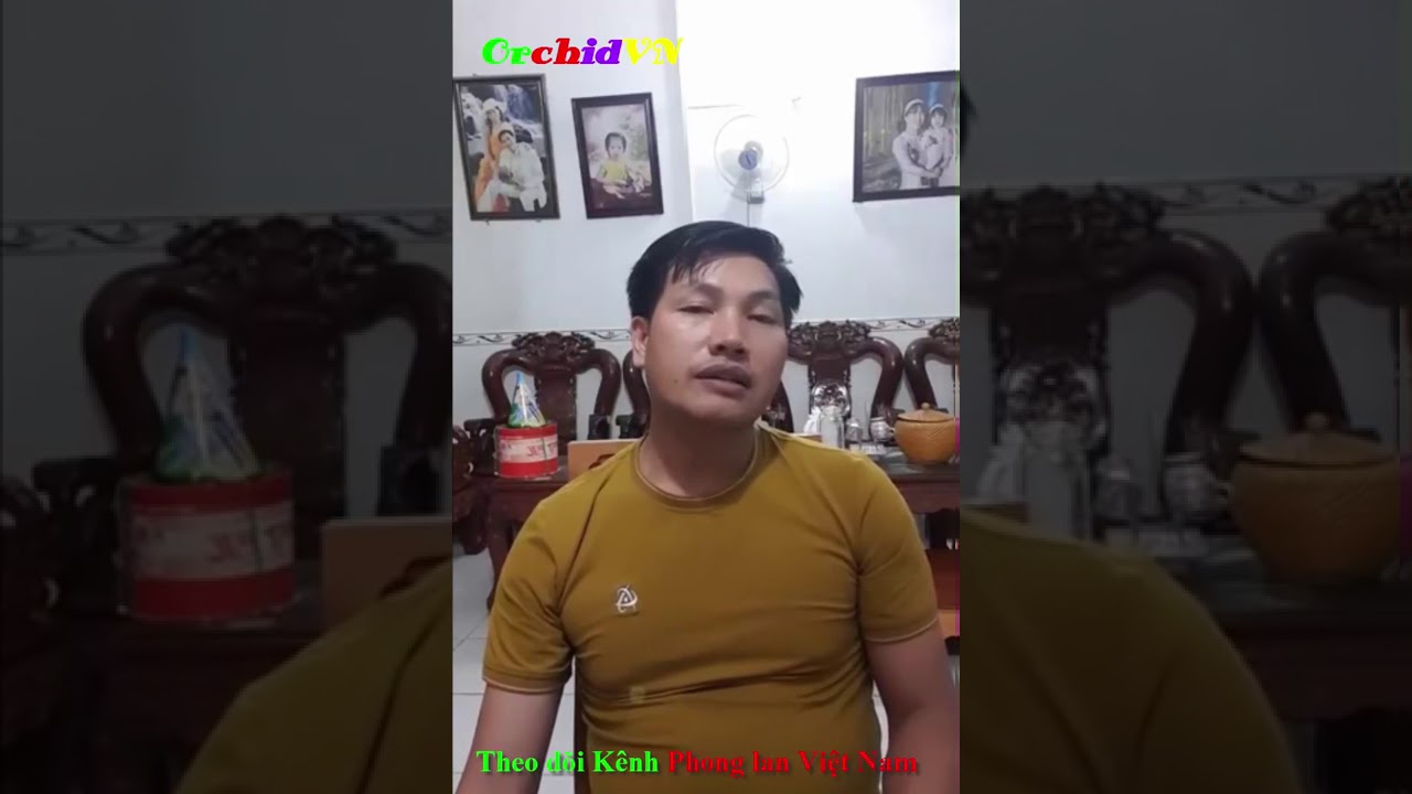 Phong benh va tri benh hoa lan - https://www.youtube.com/watch?v=g4o48ZaPylA