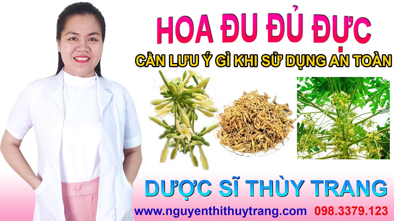 Phong benh va tri benh hoa lan - https://www.youtube.com/watch?v=JfNPn1_930U