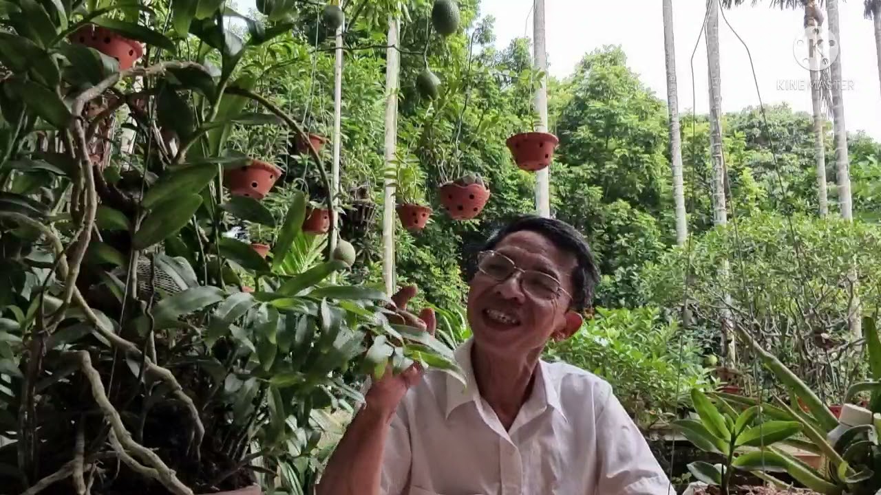 Phong benh va tri benh hoa lan - https://www.youtube.com/watch?v=5EnPmedbzWg
