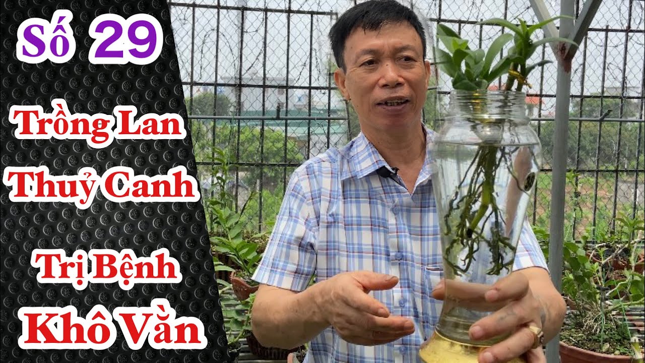 Phong benh va tri benh hoa lan - https://www.youtube.com/watch?v=wQS9otrNKQQ