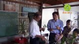MOVENTO Thuốc diệt RỆP cho phong lan – MỘT LẦN DUY NHẤT [ MAI HUY] | Orchivi.com