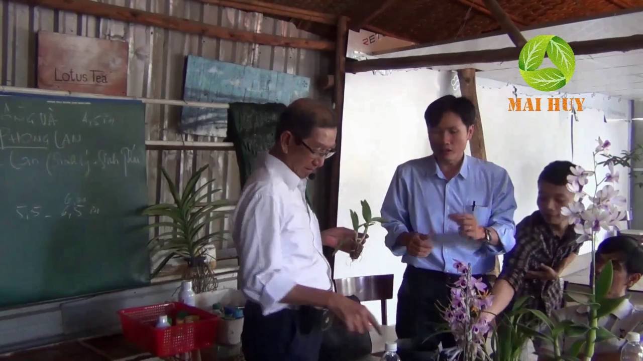 Phong benh va tri benh hoa lan - https://www.youtube.com/watch?v=RiRBh49hHR0