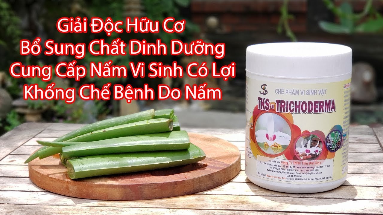 Phong benh va tri benh hoa lan - https://www.youtube.com/watch?v=PpuyQYwfFDg
