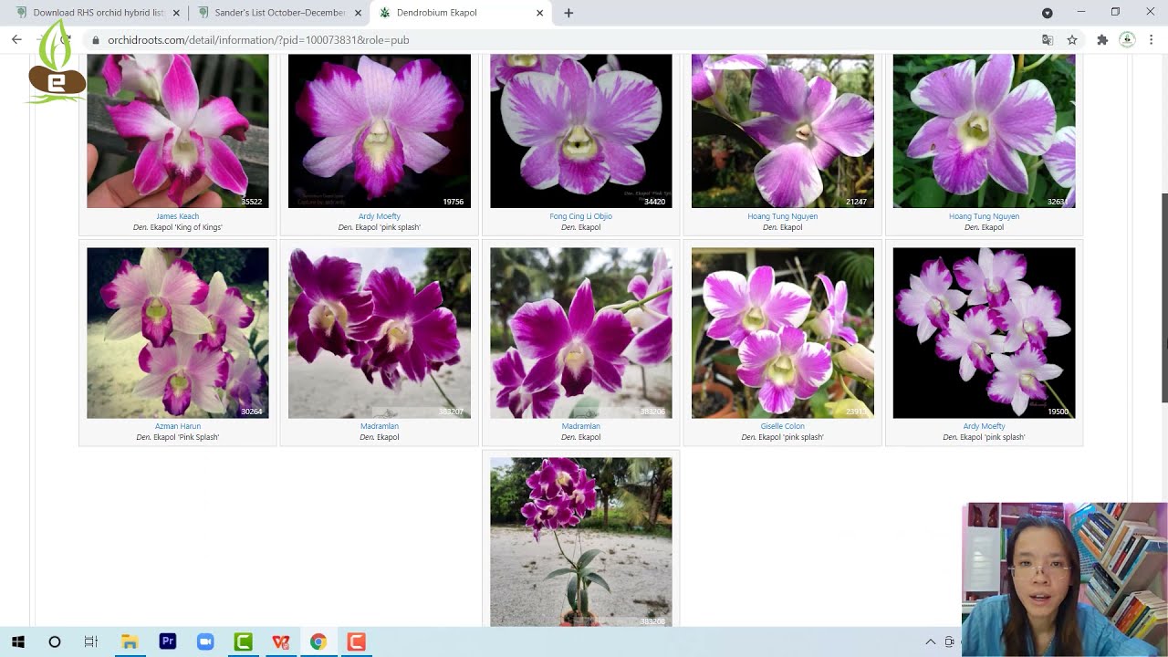 Các loại hoa lan - https://www.youtube.com/watch?v=jUwyKDsdERw