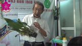Kỹ Thuật Trồng Hoa Lan – Cách Trồng Lan Cattleya Để Cây Ra Hoa đẹp | Orchivi.com